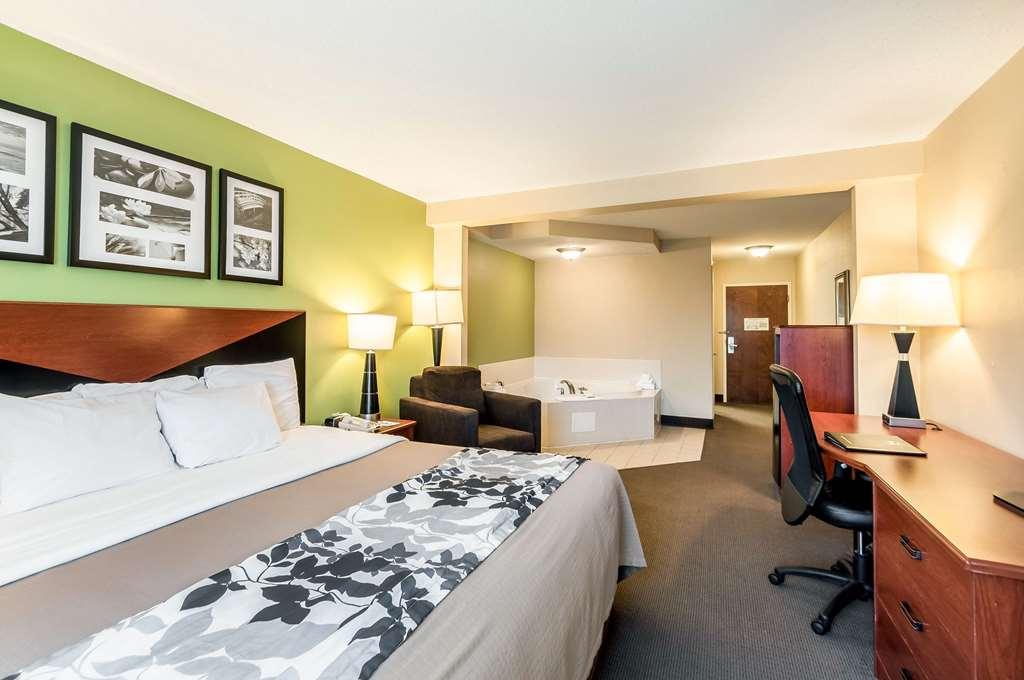 Sleep Inn & Suites Dover Pokój zdjęcie